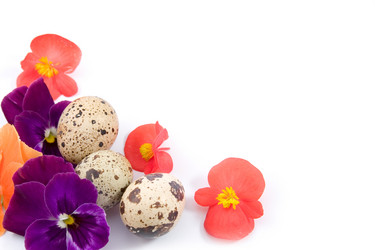 Similar image 936940