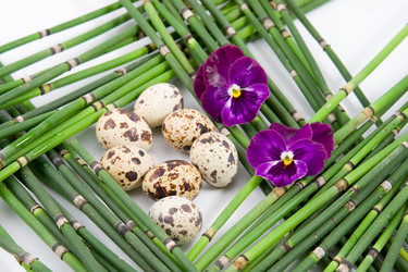 Similar image 936952