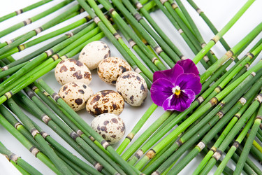 Similar image 936956