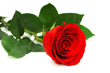 Similar image 937173