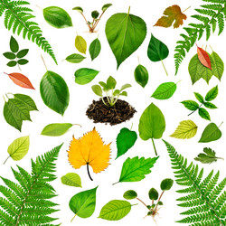 Similar image 937198