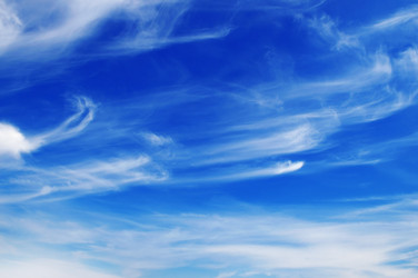 Similar image 937236