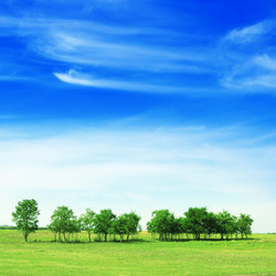 Similar image 937237