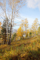 Similar image 937626