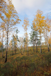 Similar image 937628