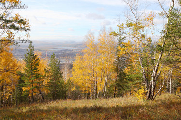 Similar image 937629