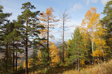 Similar image 937631