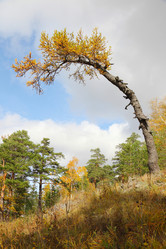 Similar image 937633