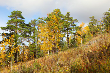 Similar image 937635