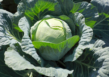 Similar image 937644