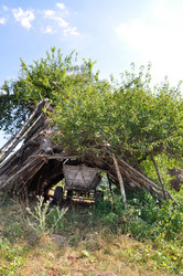 Similar image 937695