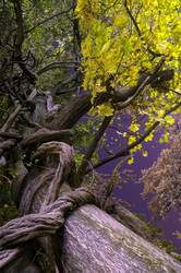 Similar image 937704