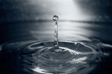 Similar image 938416