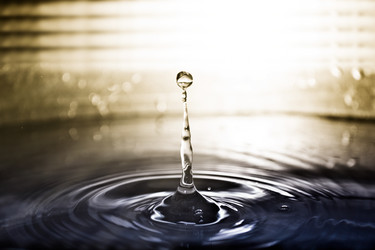 Similar image 938419