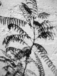 Similar image 938496