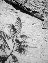 Similar image 938497