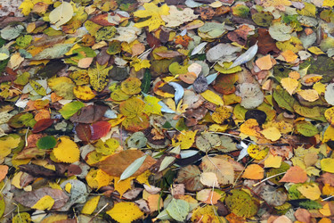 Similar image 938550