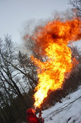 Similar image 938579