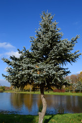 Similar image 938600