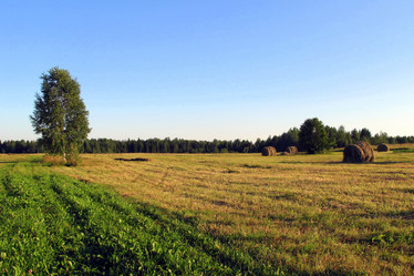 Similar image 938623