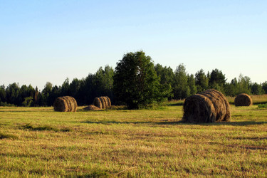 Similar image 938624