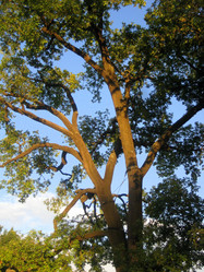 Similar image 938629