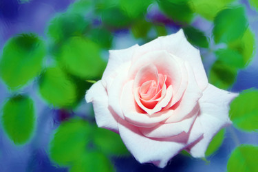 Similar image 938670