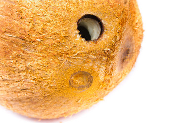 Similar image 939134