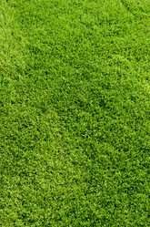 Similar image 939236