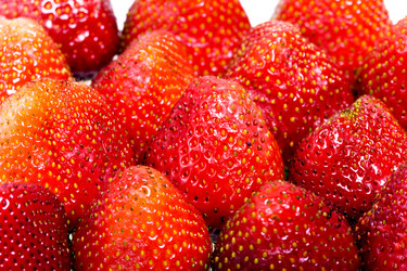 Similar image 939290