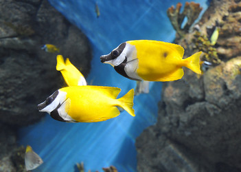 Similar image 939478