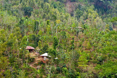 Similar image 939482