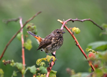 Similar image 939564