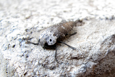 Similar image 939629