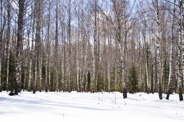 Similar image 939649