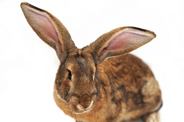 Similar image 939675