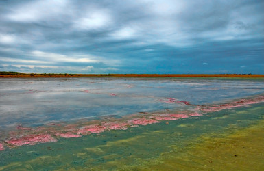 Similar image 939703