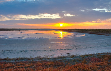 Similar image 939713