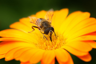 Similar image 940418