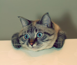 Similar image 940526