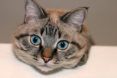 Similar image 940537