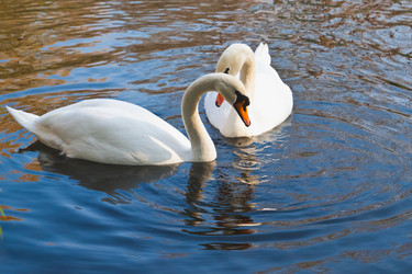 Similar image 940872