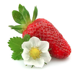 Similar image 940973