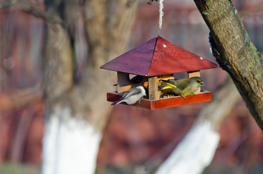 Similar image 940982