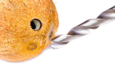 Similar image 941269