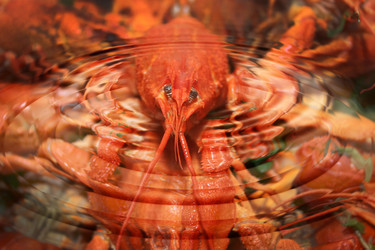 Similar image 941301