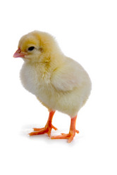 Similar image 941413