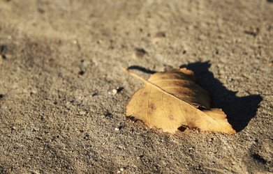 Similar image 941448