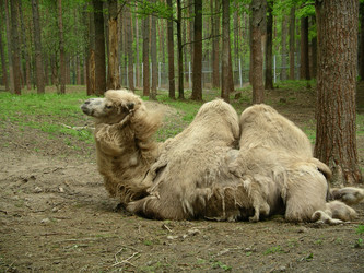 Similar image 941456