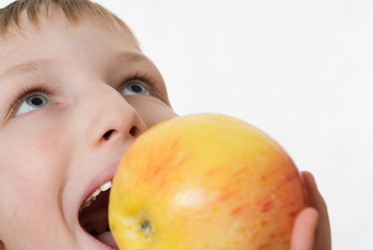 Similar image 941481